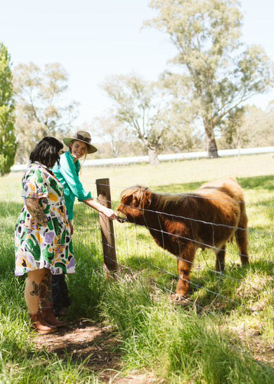 Clay + Cows